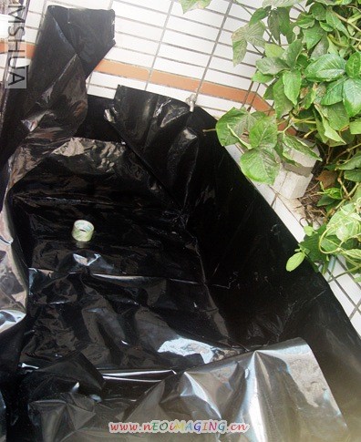 ���ž�����ר�õĳ�������