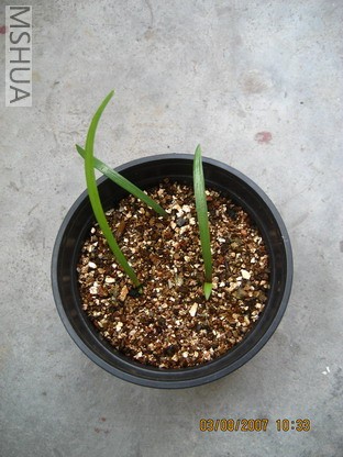 ��Ƭ 001_������С.jpg