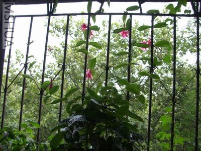CIMG0208.JPG