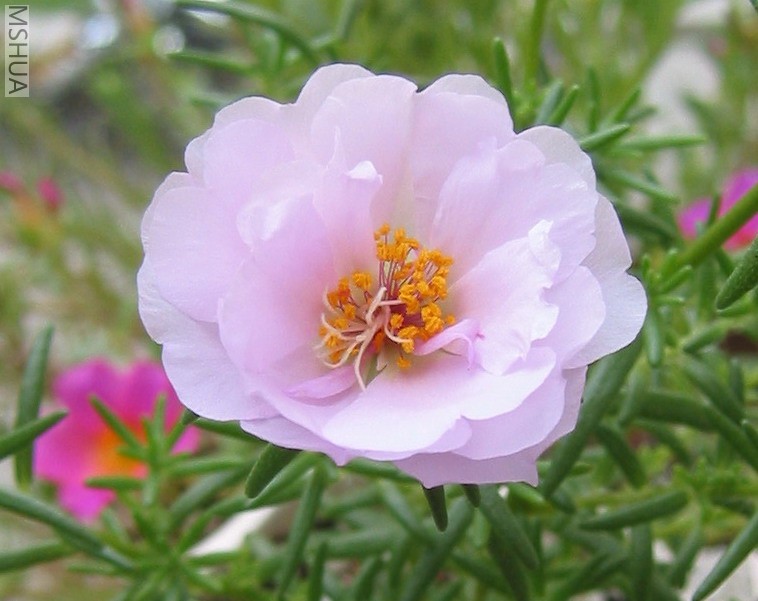070710 251.JPG