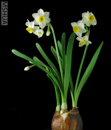 �໨ˮ��֮����ˮ��