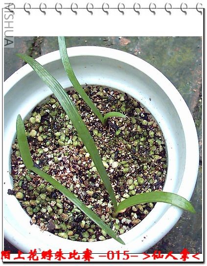 ����8.3 (2).JPG