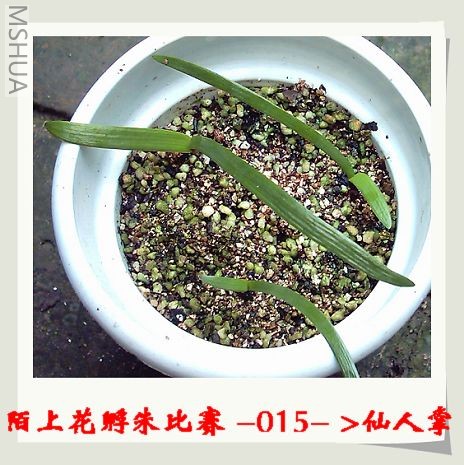 ����8.3 (1).JPG