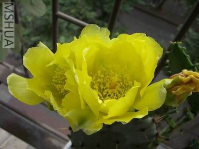 CIMG0031.JPG