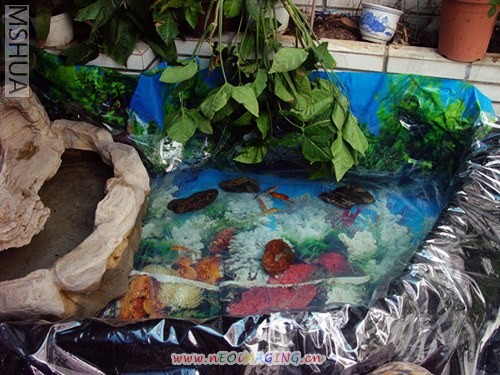 ����ЩС���С������