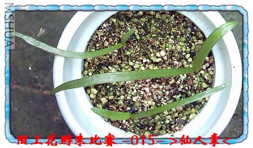 ����8.3 (3).JPG