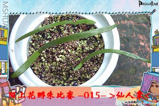 ����8.3 (4).JPG