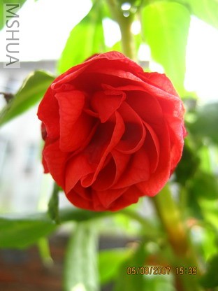 ��Ƭ 001_������С.jpg