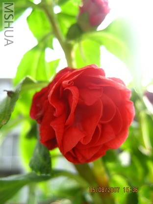 ��Ƭ 005_������С.jpg