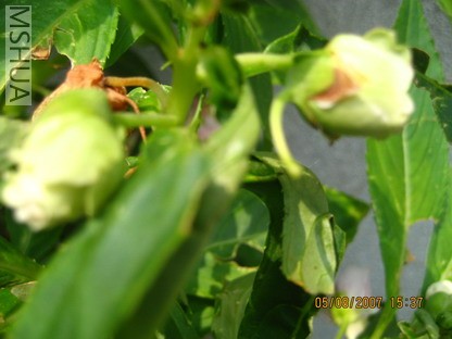 ��Ƭ 006_������С.jpg