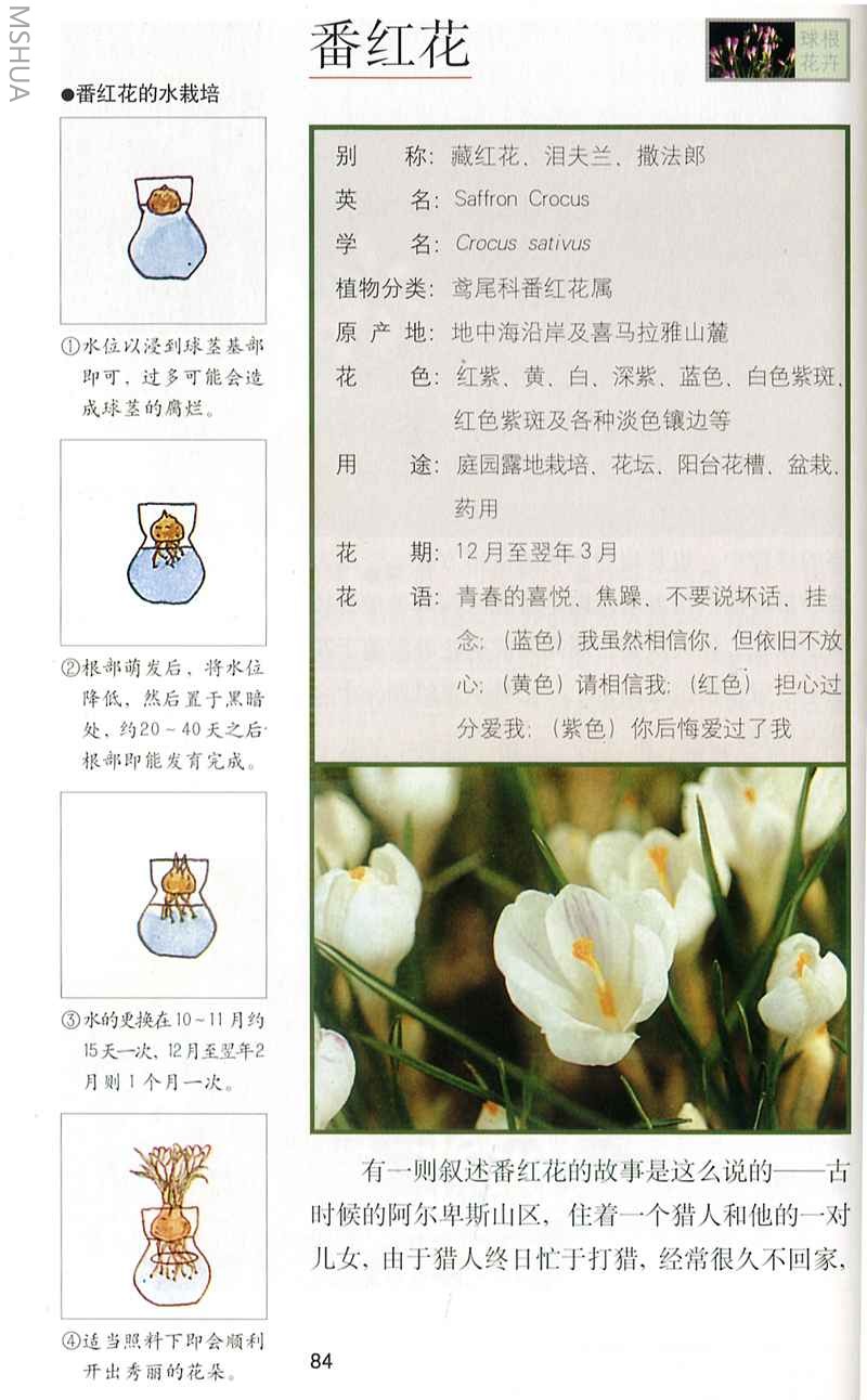 ���컨1.jpg