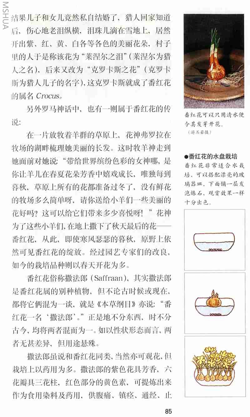 ���컨2.jpg
