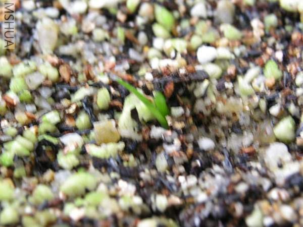 ����7-22�յ�һ��