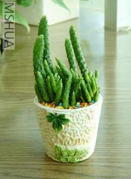 DSC09698 ����.jpg