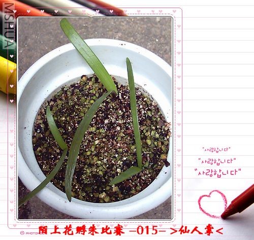 ����8.6 (3).JPG