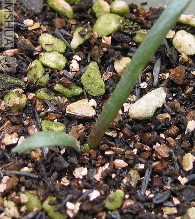 #2С�����һ�Ƕ�