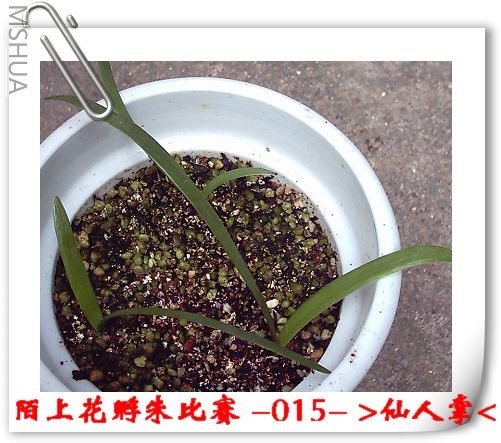 ����8.6 (4).JPG