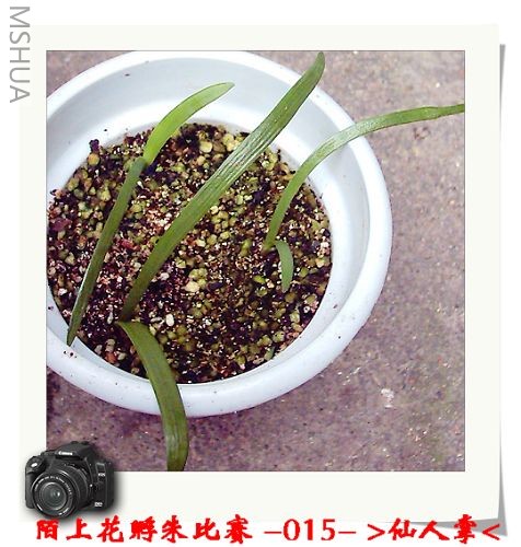 ����8.6 (5).JPG