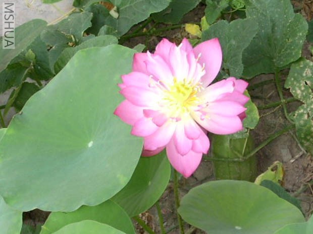 ��Щ���Ѿ���ǰ������ˣ������Ѿ���л�ˡ�