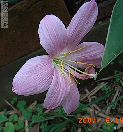 RIMG0001.jpg