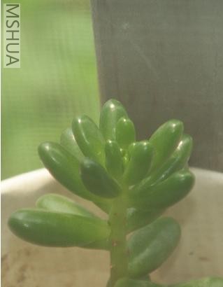 ��֮��.JPG