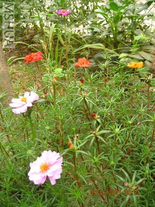 ��Ƭ 003_������С.jpg