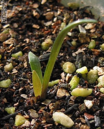 ������ �������ư�Ľ��۵�#2С��(����8��8��)