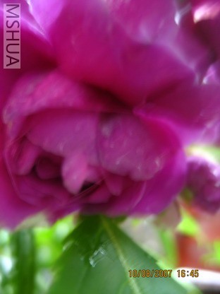 ��Ƭ 016_������С.jpg