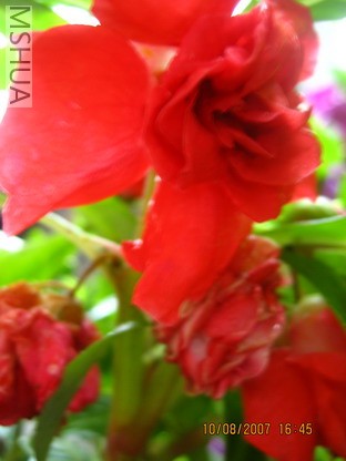 ��Ƭ 017_������С.jpg