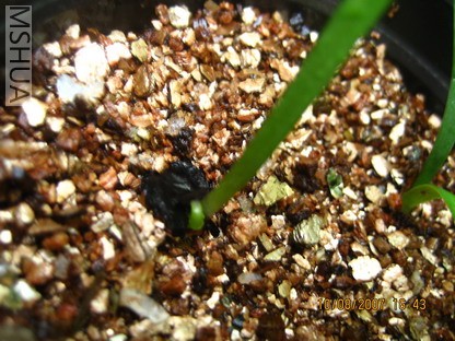 ��Ƭ 012_������С.jpg