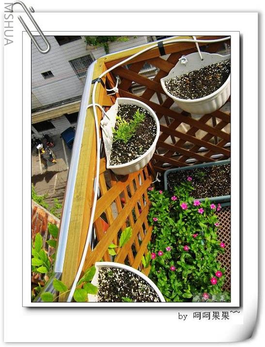 ����һֱ�����ߣ����������ͷ�����ԡ�