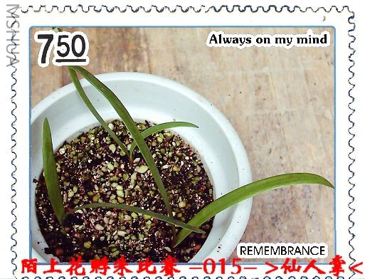 ����8.9 (4).JPG