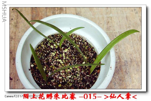 ����8.9 (3).JPG