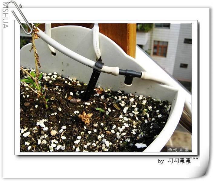 ��ͨ��ͷ��ÿСʱ��5�����ˮ