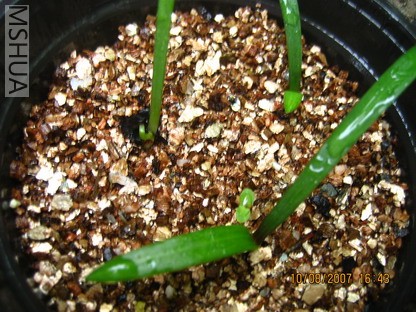 ��Ƭ 011_������С.jpg