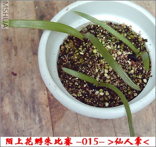 ����8.9 (5).JPG