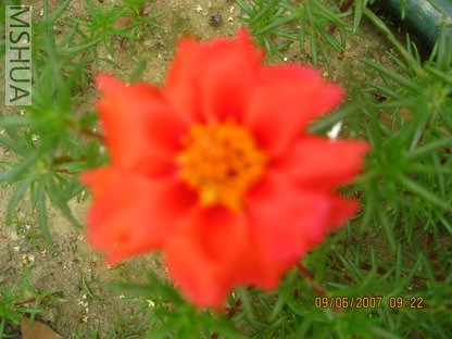 ��Ƭ 005_������С.jpg