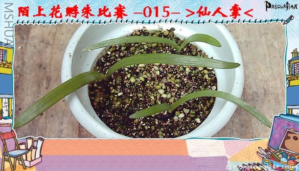 ����8.9 (2).JPG