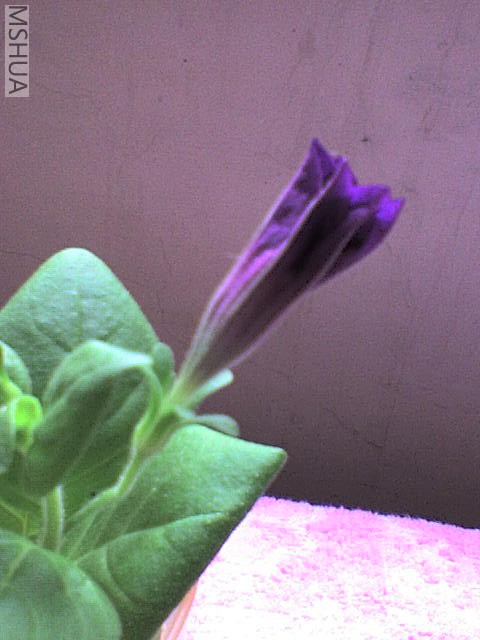 DSC00171.JPG