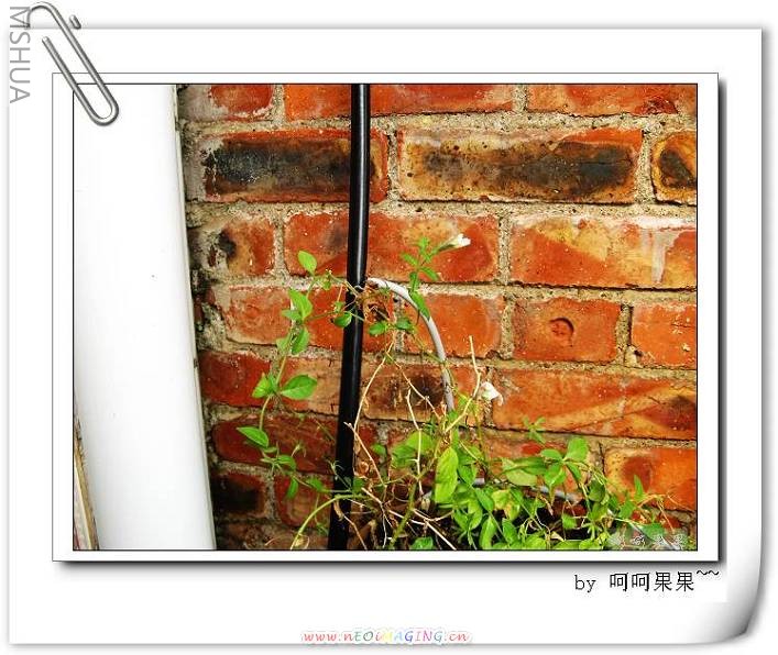 ��ɫ����PVC�ܽ�˫��ֱͨ�嵽PE����