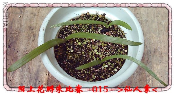 ����8.9 (1).JPG