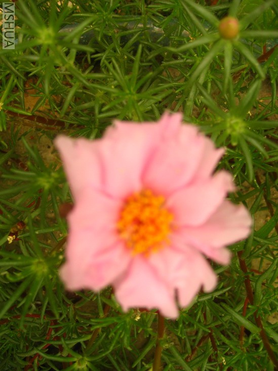 ��Ƭ 009_������С.jpg