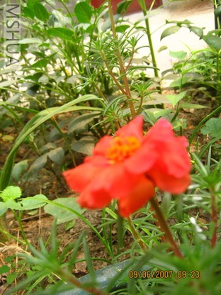 ��Ƭ 007_������С.jpg