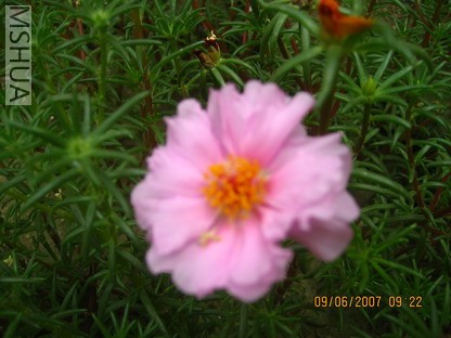 ��Ƭ 004_������С.jpg