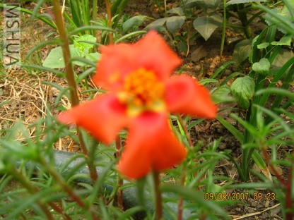 ��Ƭ 006_������С.jpg