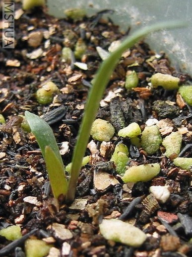 #2С��(����8��8��)