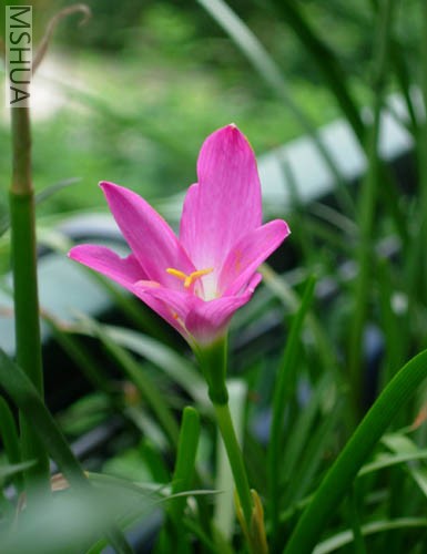 DSCN7159.JPG