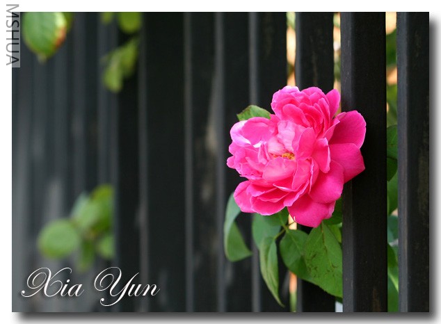 IMG_0709 ����.jpg