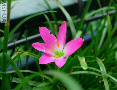DSCN7154.JPG