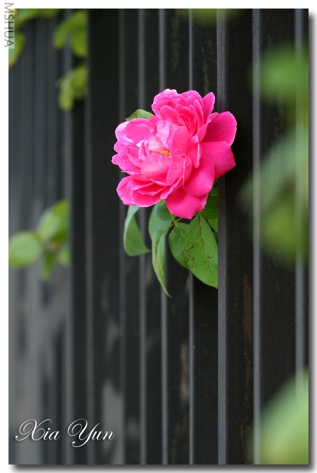 IMG_0711 ����.jpg